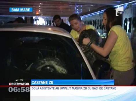 Ziua castanelor a intrat in atentia ascultaoriilor Radio ZU din Baia Mare