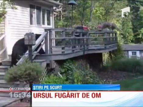Cel mai fricos urs din lume