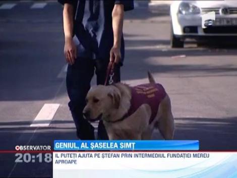 Este orb si abia mai aude, insa a castigat numeroase premii la olimpiade! Afla si tu povestea lui Stefan Ilioaica!