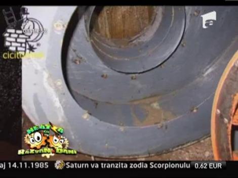 Ce inseamna meseria de cosar