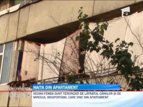 Ploiesti: O femeie si-a imbolnavit de nervi toti vecinii. Are in apartament mai mult de 20 caini