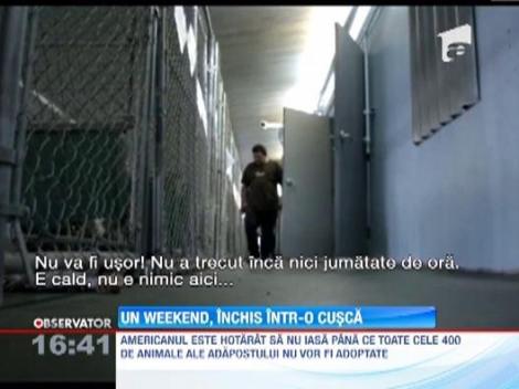 Dragostea pentru animale, dusa la extrem: Un american a decis sa stea intr-o cusca pentru a incuraja adoptia animalelor parasite