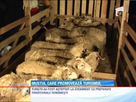 Festival traditional la Curtea Domneasca din Piatra Neamt