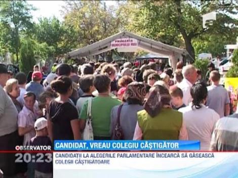 "Transhumanta" electorala: De frica alegerilor, parlamentarii isi schimba colegiile