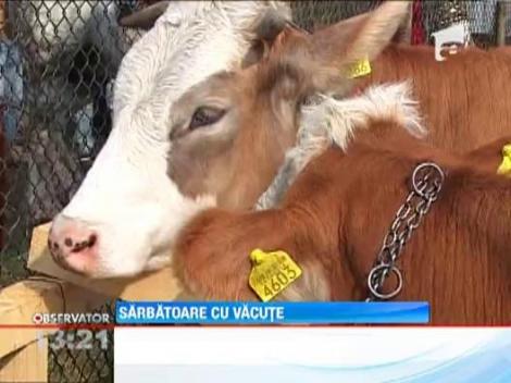 Targul Laptarilor din Campulung Moldovenesc