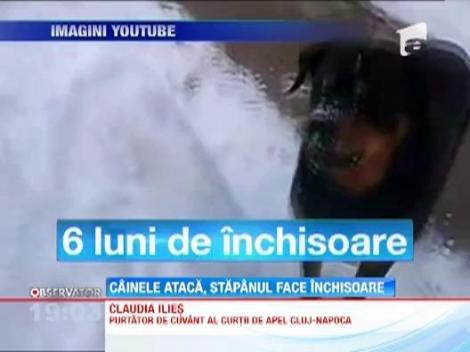 Inchisoare cu executare si 200.000 de lei despagubiri pentru atacul cainelui sau