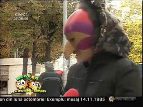 Don Curcan gasit in Pitesti!