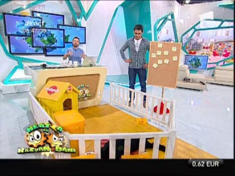 Echipa de la Neatza cauta nume pentru catelul emisiunii