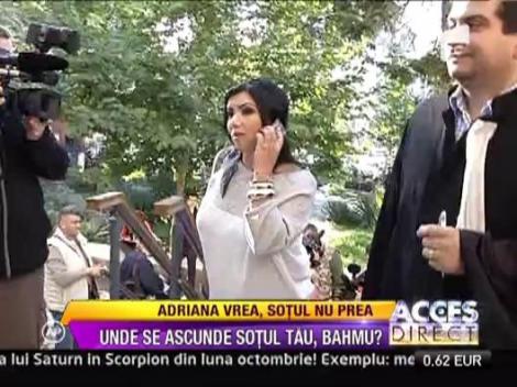 Adriana Bahmuteanu,  o noua infatisare pentru custodia temporara a celor doi copii