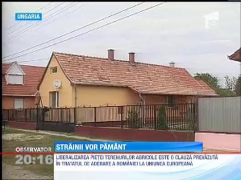 Guvernul vrea sa-i impiedice pe straini sa puna mana pe terenul ieftin si fertil din Romania