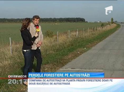 Compania de autostrazi va planta perdele forestiere pe A2 si A3