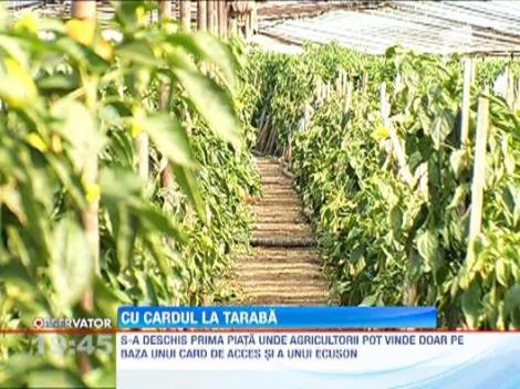 Ministerul Agriculturii vrea carduri si legitimatii de producator pentru toti agricultorii