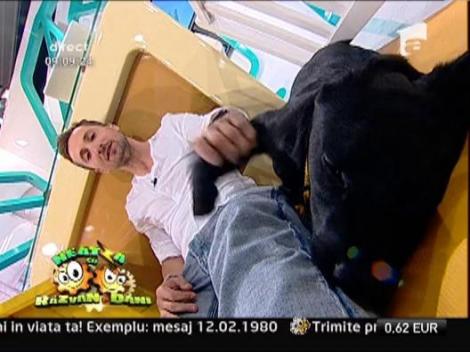 Echipa de la Neatza cauta nume pentru catelul emisiunii