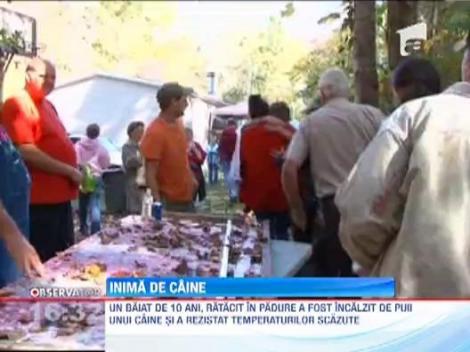 SUA: Un copil care sufera de sindromul Down a fost salvat de un caine, dupa ce s-a ratacit prin padure