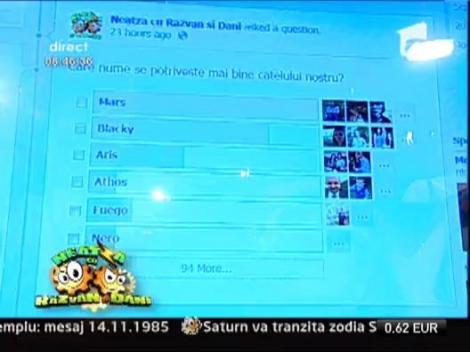 Catelusul de la Neatza se va numi Mars