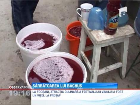 Ritualul de obtinere a vinului se respecta cu strictete
