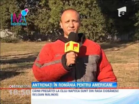 Un roman antreneaza caini pentru elita politiei americane