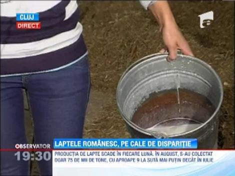 Laptele romanesc, pe cale de disparitie