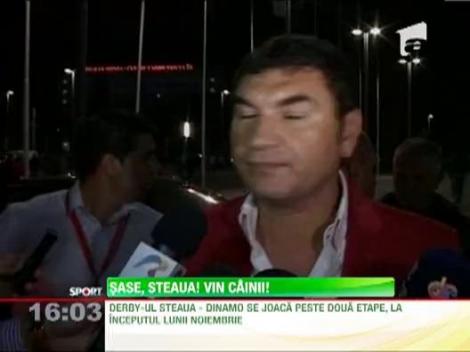 Borcea vrea un nou derby cu trei puncte pentru caini.