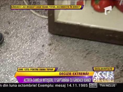 Actrita Camelia Mitoseru: "O sa stau o saptamana cu Ioana si gandacii ei"