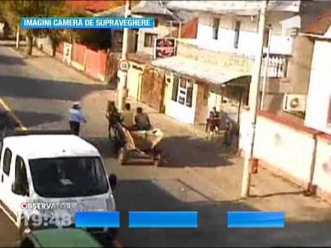 Hotii de la Gradina Zoologica din Slatina, prinsi intr-un mod inedit