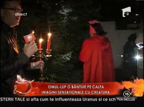 Echipa soc de la Un show pacatos, pe urmele omului lup