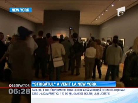 Unul dintre cele mai scumpe tablouri din lume, "Strigatul", expus la New York