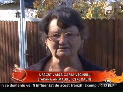 Caz socant in satul Nisipoasa! Un tanar a violat o capra