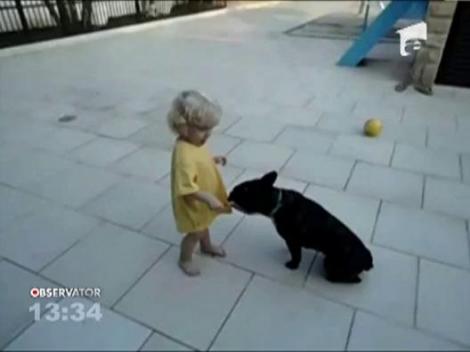 Un copil imparte inghetata cu un caine