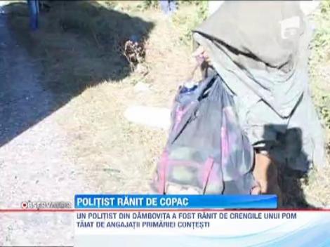 Dambovita: Un copac a cazut peste un politist de la Rutiera