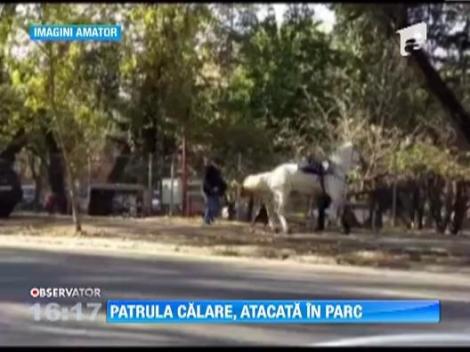 Patrula calare atacata in parc de un caine periculos