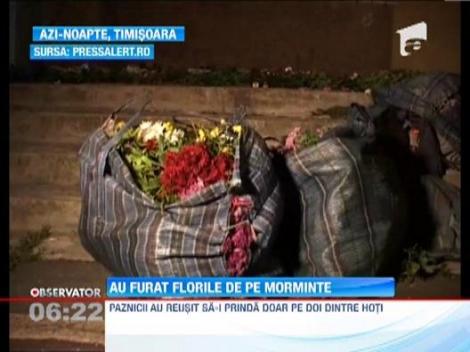 Doi barbati au furat 40 de coroane si flori din Cimitirul Eroilor din Timisoara