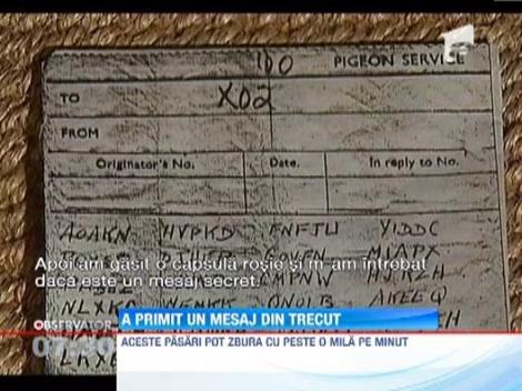 Un britanic a descoperit in hornul casei sale scheletul unui porumbel voiajor cu informatii secrete din al Doilea Razboi Mondial