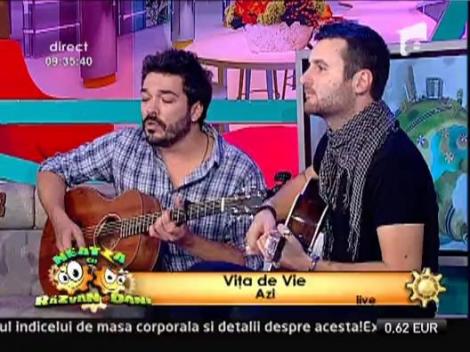 Vita de Vie pleaca intr-un turneu aniversar, cu piese reorchestrate in varianta acustica