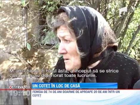 O batrana din Bistrita-Nasaud locuieste intr-un cotet de porci 