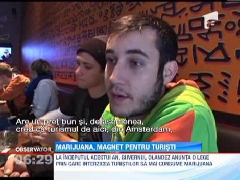 Liber la marijuana in Amsterdam! Interdictia, anulata de primar