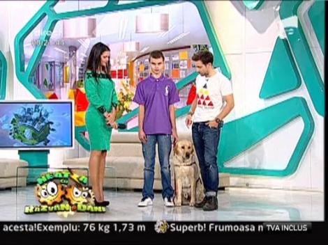 Totul despre cainii ghizi pentru nevazatori