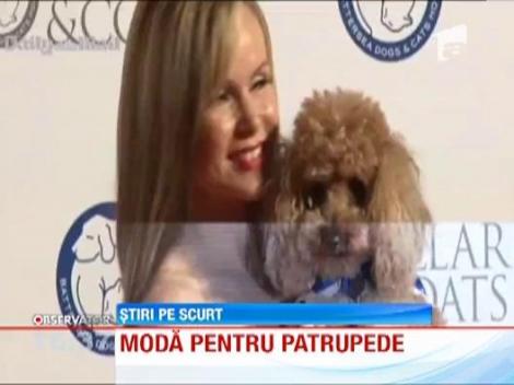 Colectie vestimentara destinata necuvantatoarelor vedetelor