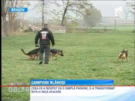 Un brasovean se mandreste cu o superba familie de 60 de caini din rasa Ciobanesc German