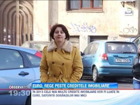 Euro, moneda preferata de romanii care vor credite pentru locuinte
