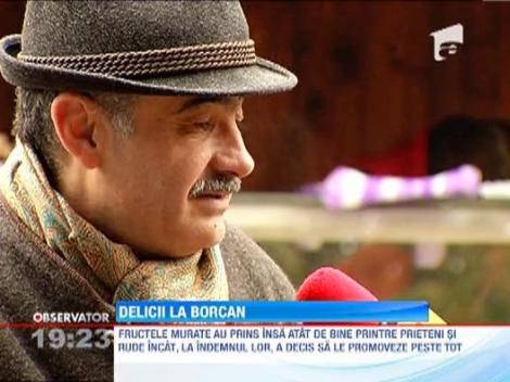 Expozitie de muraturi