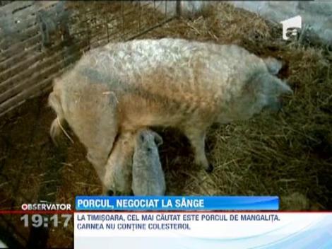 Pretul carnii de porc pentru Craciun