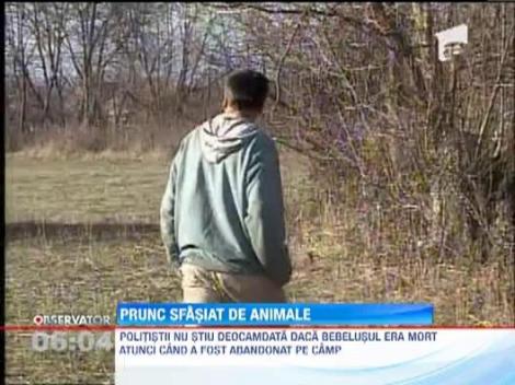 UPDATE / Trupul mutilat al unui bebelus mort a fost gasit de un cioban