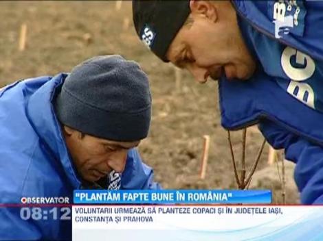 O padure de frasini si ulmi ii va proteja pe oamenii dintr-o comuna ilfoveana de calamitati