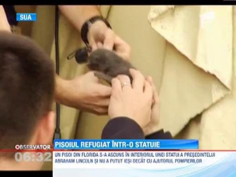 SUA: Pisoi salvat de pompieri dupa ce a ramas blocat in statuia presedintelui Lincoln