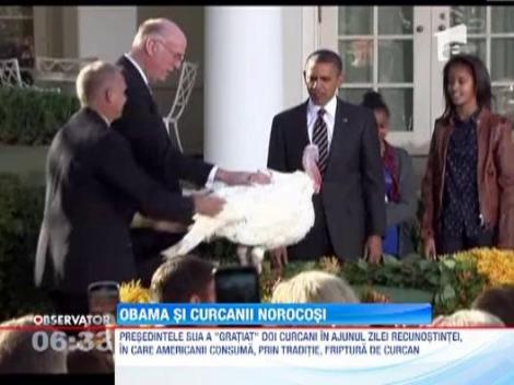 Barack Obama a salvat doi curcani, conform traditiei de Ziua Recunostintei