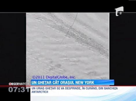 Un ghetar mare cat orasul New York se va desprinde din banchiza Antarcticii