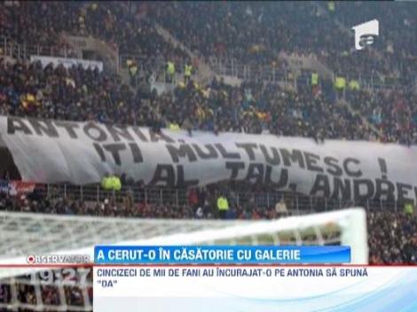 Romantism tratat cu pumni! O cerere in casatorie, motiv de bataie in galeria Stelei