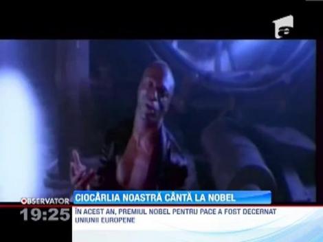 Fanfara Ciocarlia, din satul Prajini, invitata sa cante in onoarea Uniunii Europene