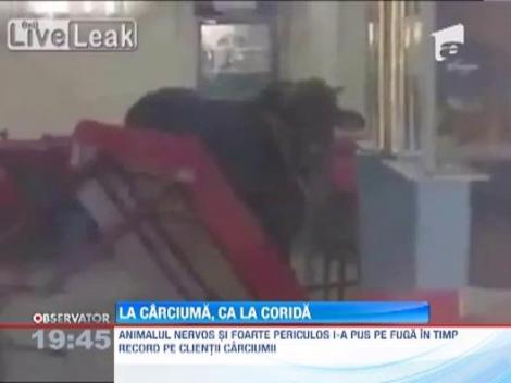 Un taur nervos a dat buzna intr-o carciuma din Turcia